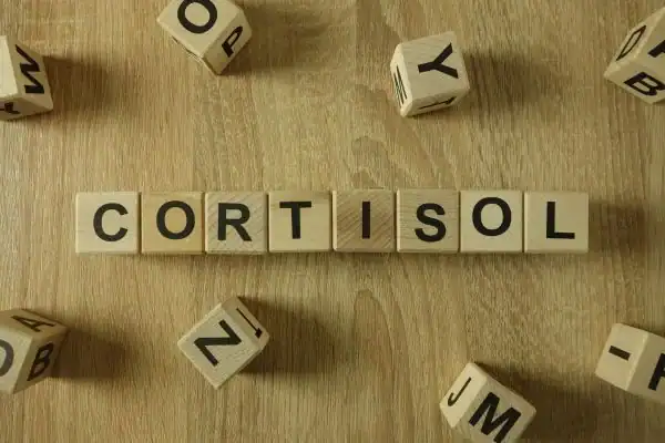 Image saying "Cortisol" and how stress Wisley impacts your wellbeing and bodies shape